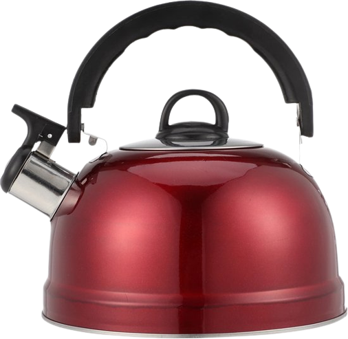 Borvat® | fluitketel | roestvrij staal | 4 liter | Rood gekleurd | waterkoker voor camping/caravan/camper | inductie en gas | met fluit